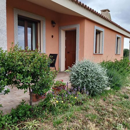 Agriturismo Gli Olivastri Appartamento Corbezzolo Con Piscina E Vista Mare,Climatizzatore,Wifi Алиенту Екстериор снимка