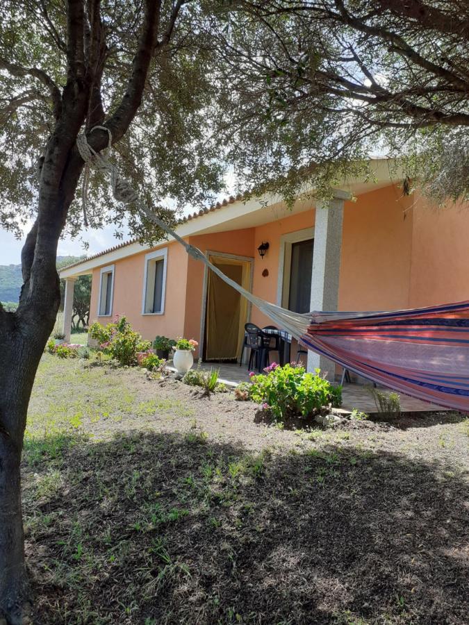 Agriturismo Gli Olivastri Appartamento Corbezzolo Con Piscina E Vista Mare,Climatizzatore,Wifi Алиенту Екстериор снимка